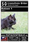 Bild 2 von 8