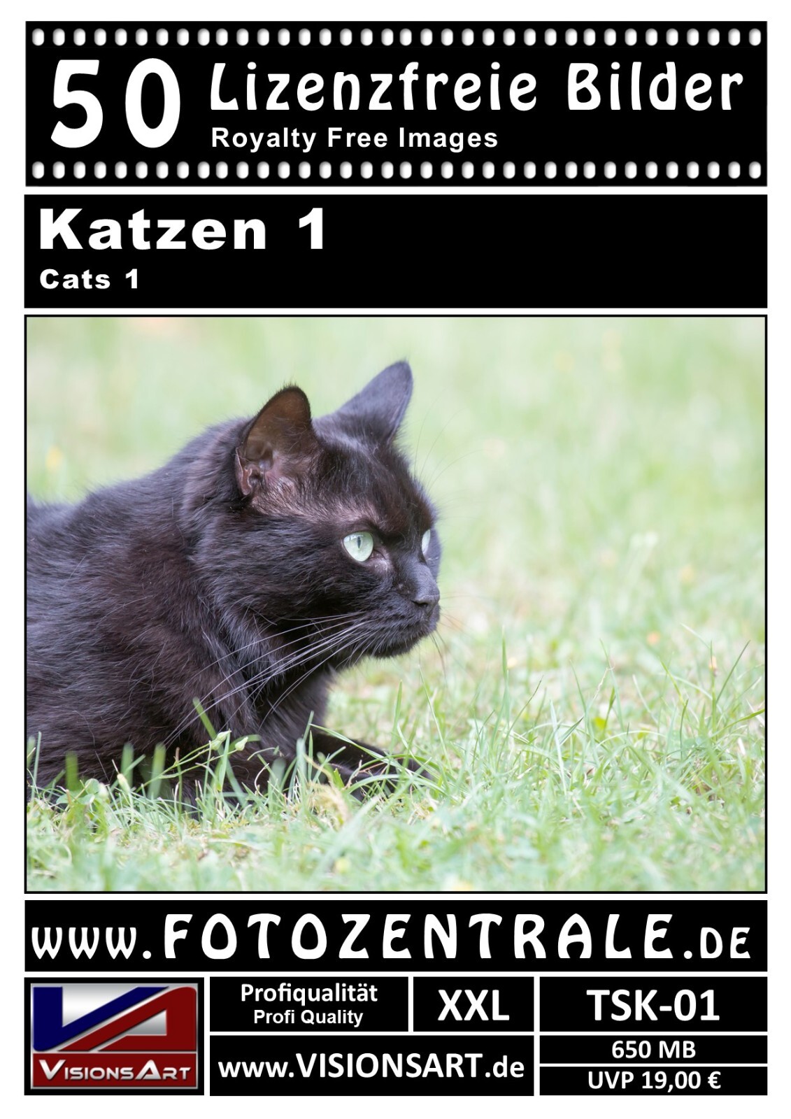 Bild 2 von 8