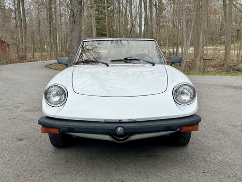 1980 Alfa Romeo CALIFORNIA RUST FREE 48k ORIGINAL MILES 2 Family Owned - Picture 9 of 40