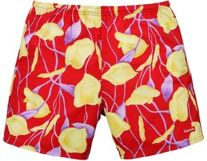 Supreme SS18 Nylon Water Short BOX LOGO PANTS SWIM TRUNKS BANNER