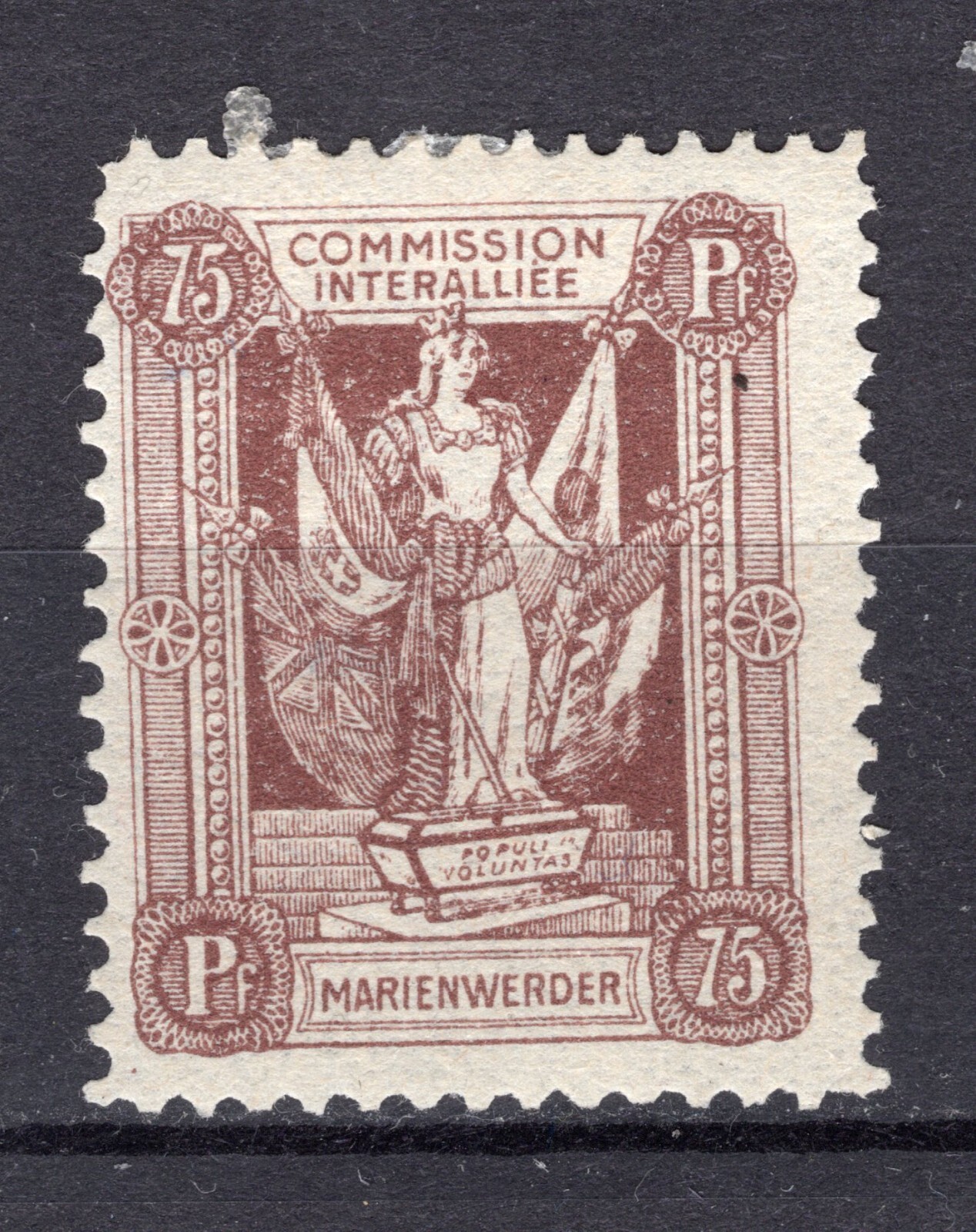Bild 14 von 19