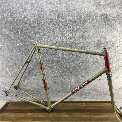 VIntage Frejus Frame Set 60 cm Campagnolo Reynolds 531 Lugged Steel 123 mm Italy - Picture 1 of 22