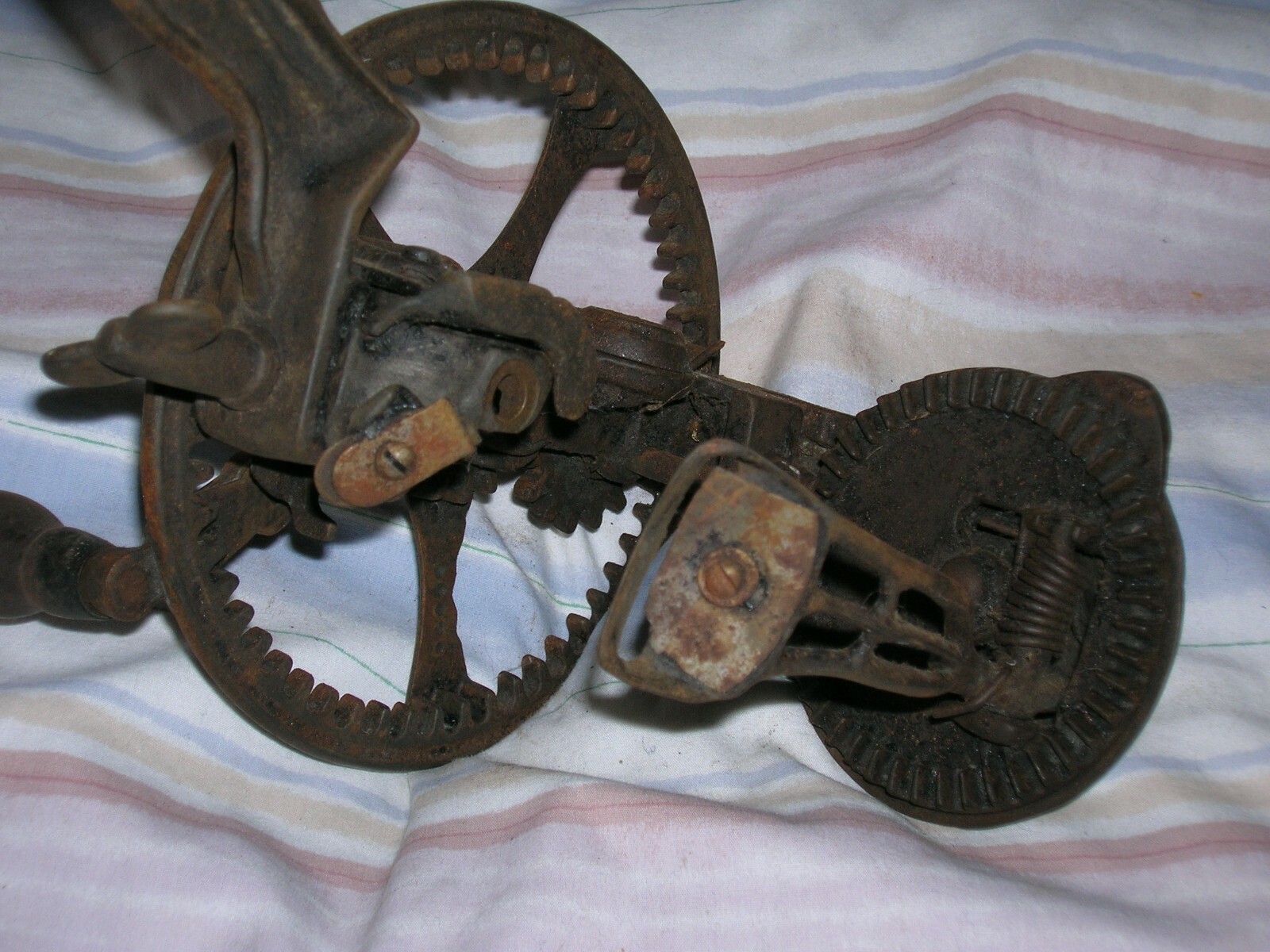 Picture 7 of 8