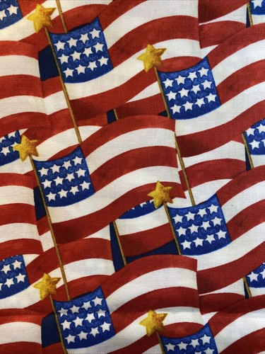 BANDERA AMERICANA 🇺🇸 BANDERA EE. UU. con TELA ESTRELLA MEDIA YARDA PATRIÓTICA 18x44 ENVÍO GRATUITO - Imagen 8 de 12