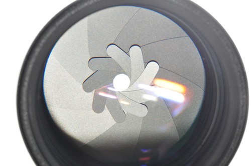 Pilz Nikon AF DC NIKKOR Objektiv 105 mm f/2 D Defokus Bildsteuerung - Bild 7 von 7