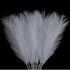 10 Pcs Faux Pampas Grass Gray Pampas Grass Decor Short Artificial Flufly