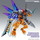 Foto 3 di 7