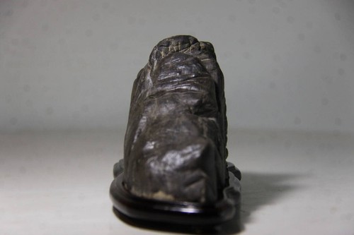 Suiseki Bonseki Bonsai Japanese Garden Zen Waterfall Stone Furuya Stone 3 - Picture 5 of 10