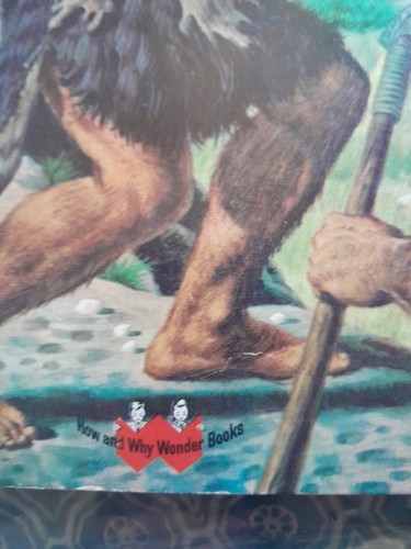 Das Wie und Warum Wunderbuch des primitiven Menschen #5024 1961 guter gebrauchter Zustand - Bild 3 von 13