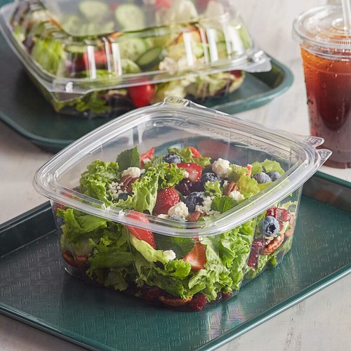 Hinged Lid Salad Container Clear Plastic Food Takeaway Storage Container - Picture 2 of 6