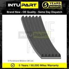 Fits Kia Sportage Sorento Hyundai ix35 Santa Fe IntuPart Alternator Belt