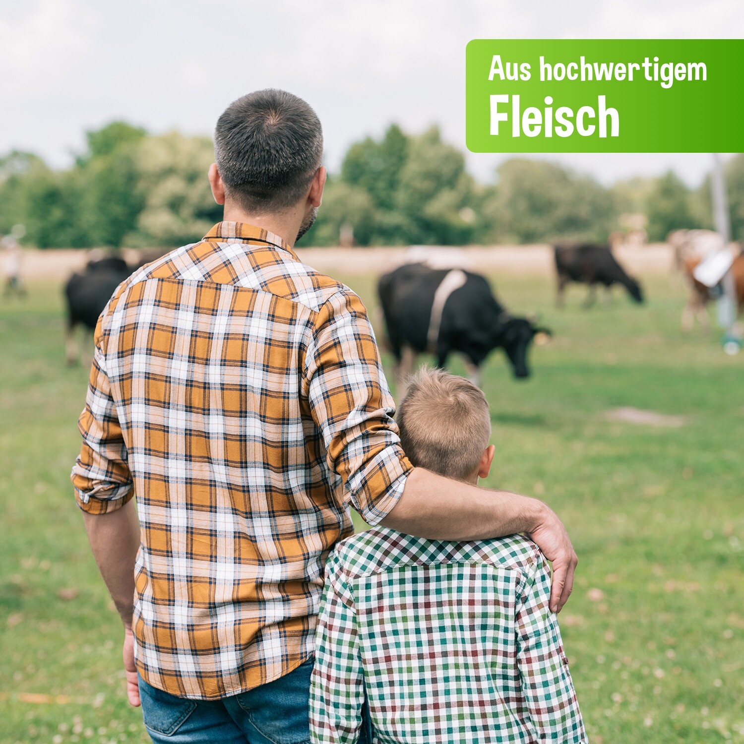 Bild 5 von 6