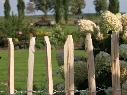 Hazel Wood Fence 5m Roll – Natural Garden Border – Privacy Screen – Rustic Look - Picture 24 of 59