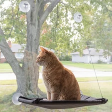 Cat Window Perch with Removable, Machine Washable Cover (Black)