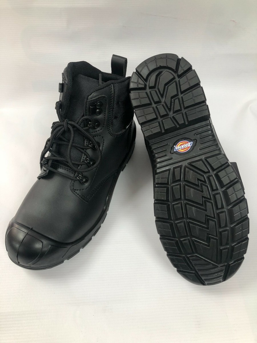 Dickies trenton clearance