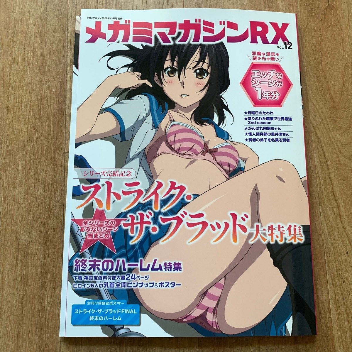メガミマガジンRX vol.12 2022年12月 シュリンク付き Megami Magazine RX Vol 12 2022 Japanese Girl Anime