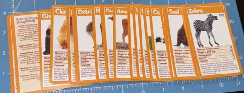 Top Trumps Baby Animals Card Game - In Plastic Case 30 Cards - Picture 4 of 4