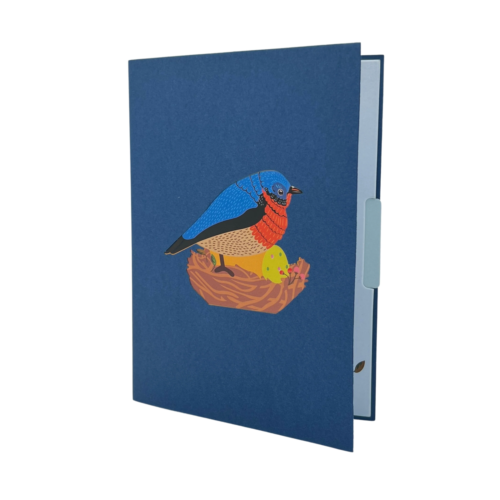 Pop Up Grußkarte Vogel Bruteier, Familienkarte, Muttertagsgeschenk, Vater - Bild 4 von 7