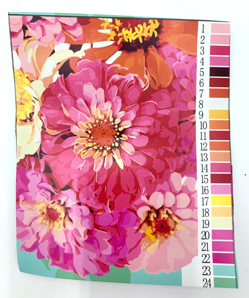 Magic Magenta Pink Picasso Paint by Numbers Kit, Pink Picasso Paint