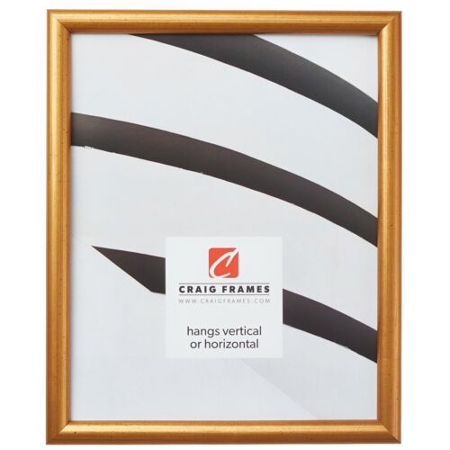 Craig Frames Dakota, 0.57 Inch Wide Bullnose, Antique Gold Wood Picture Frame - Picture 1 of 12