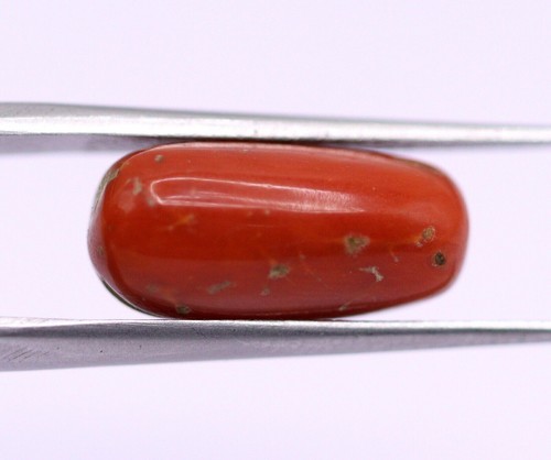 7.11 Ct Natural Coral Loose Cabochon Saffron Red Color Italy Gemstone - Picture 9 of 11