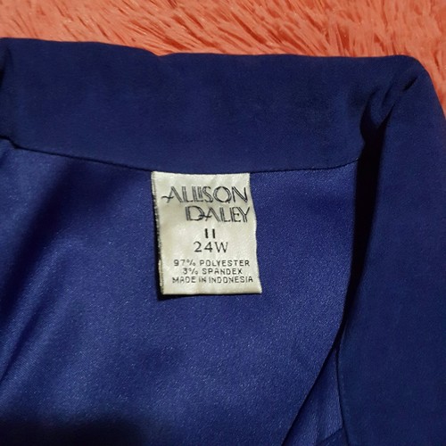 Allison Daley Sz 24W Shirt Womens Plus Size Blue Button Front Soft Career Blouse - Foto 3 di 4