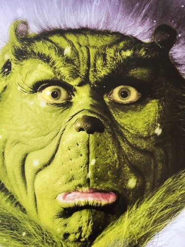Poster The Grinch 430mm x 640mm (bit bigger than A2) - Imagen 3 de 5