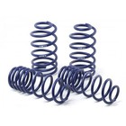 Coil Springs for Mercedes-Benz SL500