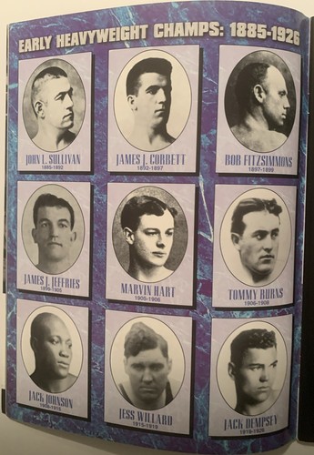 Mike Tyson vs. Francois Botha 1999 Official Program; Plus Robert Garcia-Molina - Picture 3 of 6