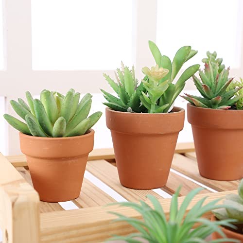 2 inch Small Terracotta Pots with Drainage Holes,Mini Clay Ceramic Pottery - Picture 5 of 6