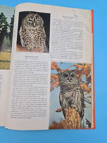 Water Prey & Game Birds of North America 1965 Alexander Wetmore Ex Lib Record - Picture 15 of 19
