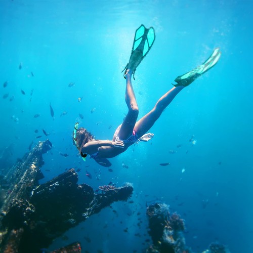 Zeeporte Schnorchelset Dry Top Schnorchel Panorama Glasmaske verstellbar Flossen Tasche - Bild 2 von 7