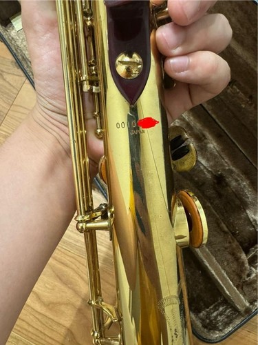 YANAGISAWA S-6 Saxofón Soprano con Estuche Rígido Instrumento Musical USADO Japón - Imagen 5 de 5
