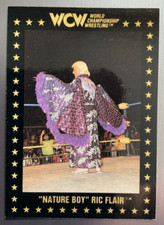 1991 Championship Marketing WCW #35 "Nature Boy" Ric Flair NWA WWE WWF