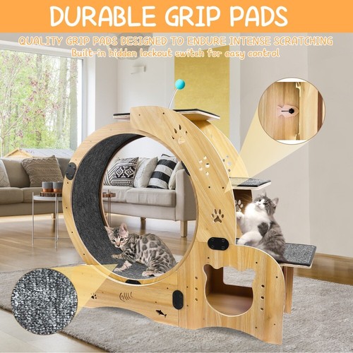 6 in 1 Cat Exercise Cat Wheel Exerciser for Indoor Large Treadmill Cat Toys - Picture 8 of 11
