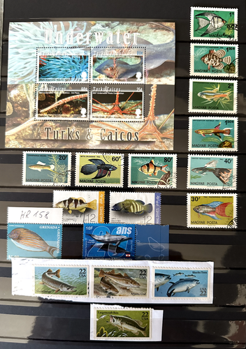 Fische im Ozean und Atoll China Israel Karibik Turks USA plus Brief Venezuela