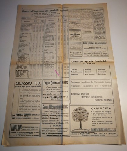 Lot L'AGRICOLTORE MODENESE JAHR XI 1955 fast kompletter Jahrgang - Bild 2 von 3