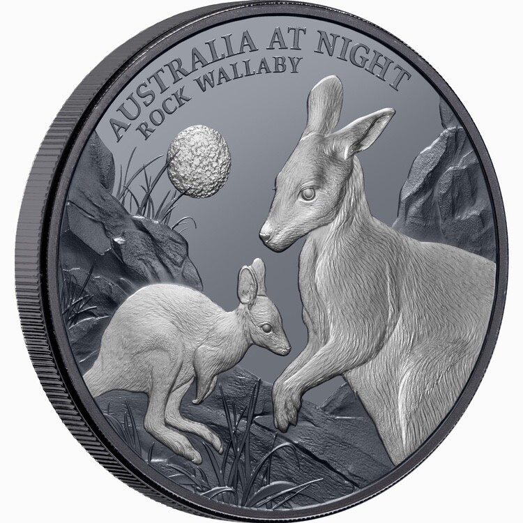 Niue 2024 Rock Wallaby Kangaroo Australia At Night $1 1 Oz Pure Silver Black OGP - Picture 8 of 8
