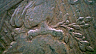 Foto 3 di 6