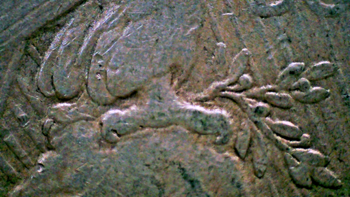 1922-D PEACE $1 - DETACHED OLIVE BRANCH -Gold Toned - Some Luster - COLLECTIBLE! - Picture 3 of 6