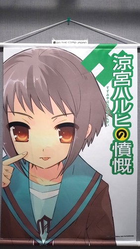 [Tapestry Wall scroll] Yuki Nagato Haruhi Suzumiya Kuji Lottery A-3 Prize B2 - Picture 1 of 4