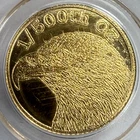 Gold American Bald Eagle Private Issue NGC MS70 1/500 oz .999 Coin- Undated