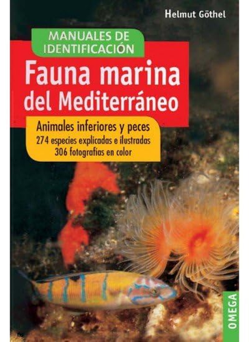 Fauna Marina Del Mediterráneo : Animales Inferiores Y Peces - Imagen 7 de 12