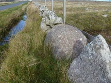 Photo A3 Dalsetter erratic Skelberry/HU3916 The actual boulder, embedde c2011