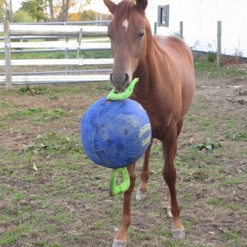 Horsemen'S Pride 14" Jolly Tug Horse Toy, Blue (JT14 B),All Breed Sizes Colou... - Picture 3 of 8