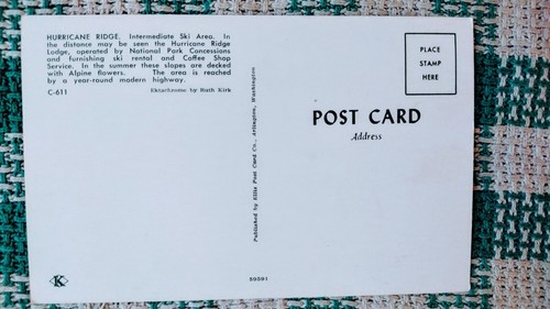 VINTAGE POST CARD SNOW CAPPED HURRICANE RIDGE OLYMPIC NATIONAL PARK WASHINGTON - Picture 8 of 14