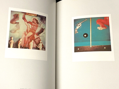 SX-70 ART BOOK LUSTRUM,POP,140 PAGES,ISAAC ASIMOV,POLAROID,COLOR,MUIR,FAMOUS,'79 - Picture 6 of 9