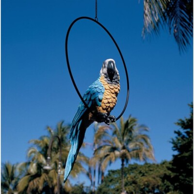 Xiayizhan Patio Home Garden Hanging Macaw Parrot Perching on Branch in Metal Round Ring Figurine Sculpture Nature Lovers Tropical Bird Collectors Decor Xiayizhan Patio Home Garden Hanging Macaw Parrot Perching on Branch in Metal Round Ring Figurine Sculpture Nature Lovers Tropical Bird Collectors Decor