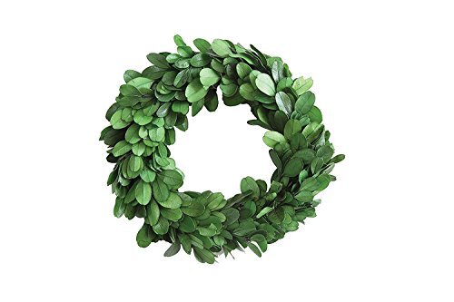 Preserved Boxwood Wreath 6" - Picture 2 of 6