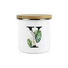 Green & Gold Letter Y Storage Canister - Monstera Leaves Large Storage Container